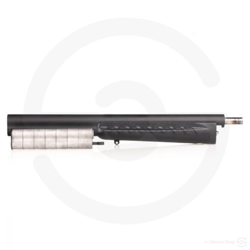 RUGER SILENT SR 10 22 TAKEDOWN3