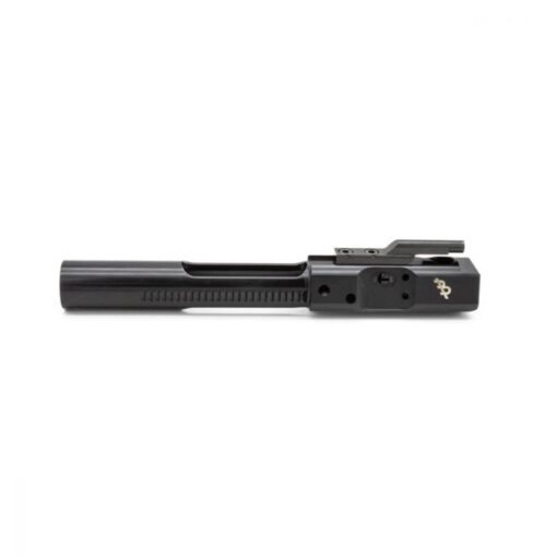 bcg ar10 main